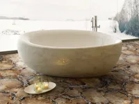 Окаменелое дерево Petrified Wood Beige