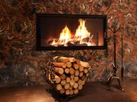Окаменелое дерево Petrified Wood Black
