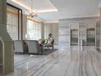 Мрамор Bianco Lasa Elegante