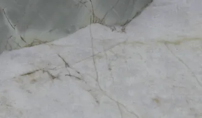 Кварцит Botanic wave