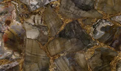 Окаменелое дерево Petrified wood brown gold