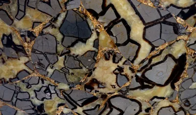 Септария Septarian with gold