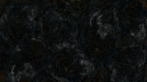 Окаменелое дерево Petrified Wood Black