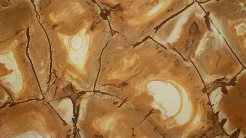 Кварцит Stone Wood