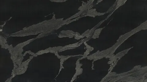Гранит Python Black