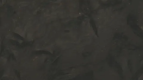 Гранит Belatrix