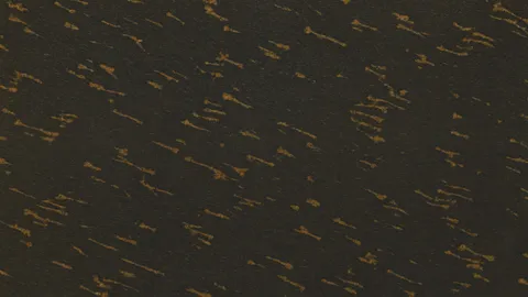 Гранит Golden Starfall