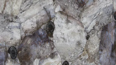 Агат Agate Opal Giant