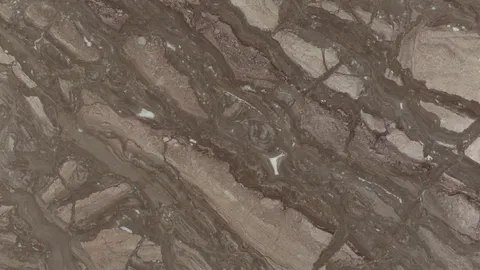 Мрамор Arabescato Orobico Brown