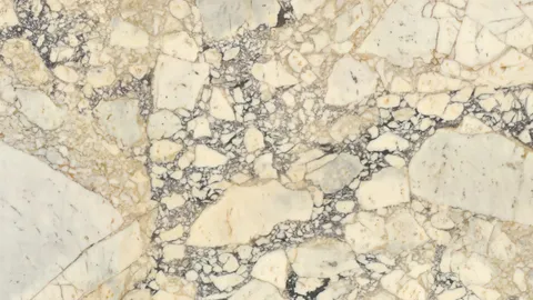 Мрамор Calacatta Viola Gold