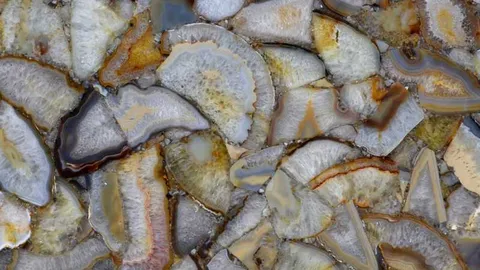 Агат Agate Wild