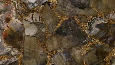 Petrified Wood Brown Gold Tiles Selection Brushed 600X600 18Mm