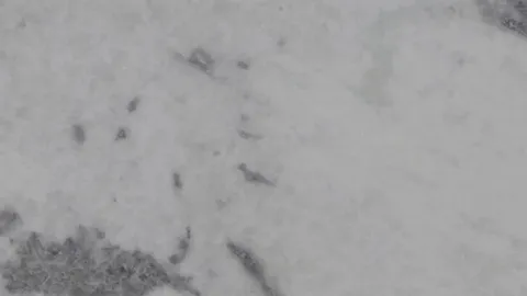 Мрамор White Cintilante
