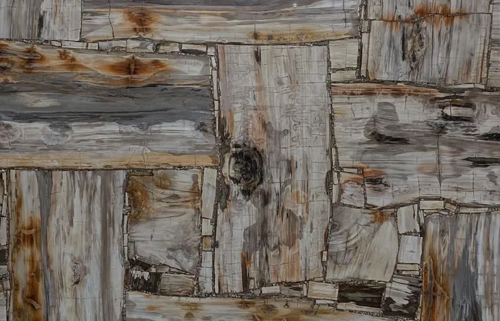 Окаменелое дерево Petrified Wood White