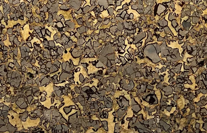 Септария Septarian With Gold