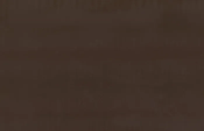 Кварцит Absolute Brown