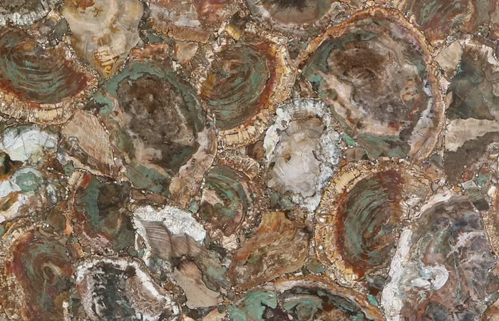 Окаменелое дерево Petrified Wood Beige-Green