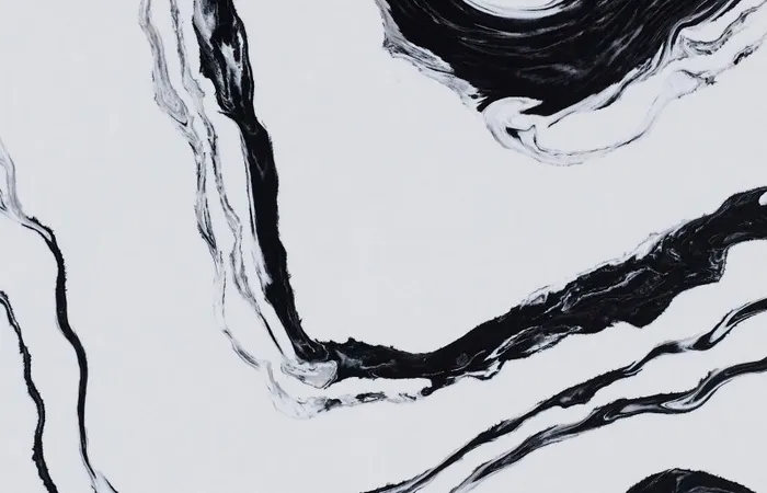 Кварцевый агломерат Panda White Eqpm