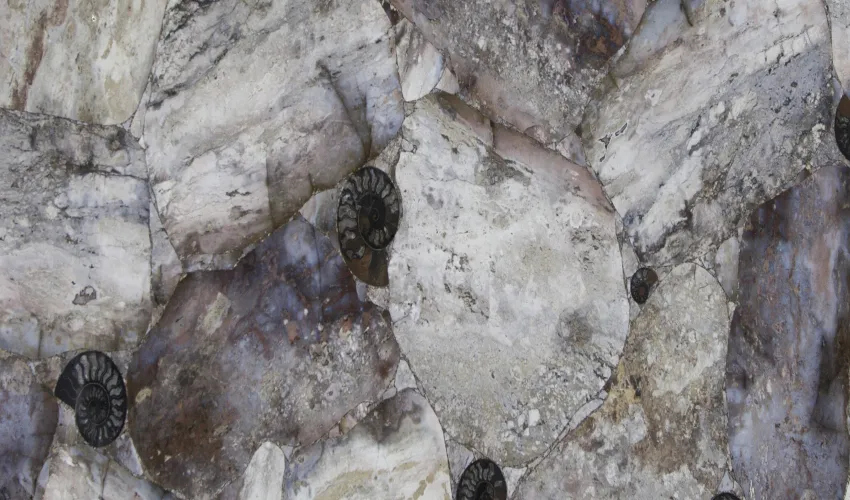 Агат Agate Opal Giant