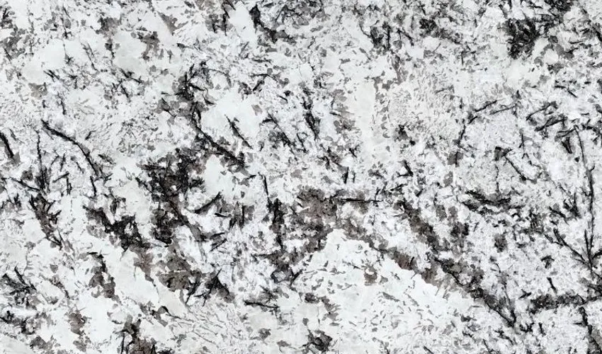 Гранит White Orion
